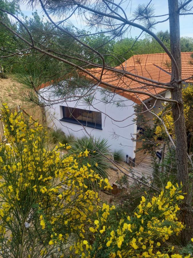 Cot'& Dune - Lodge D'Hote & Spa De Nage Saint-Augustin  외부 사진